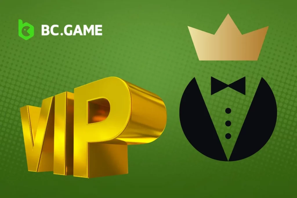 Comprendiendo el Programa VIP de BC Game
